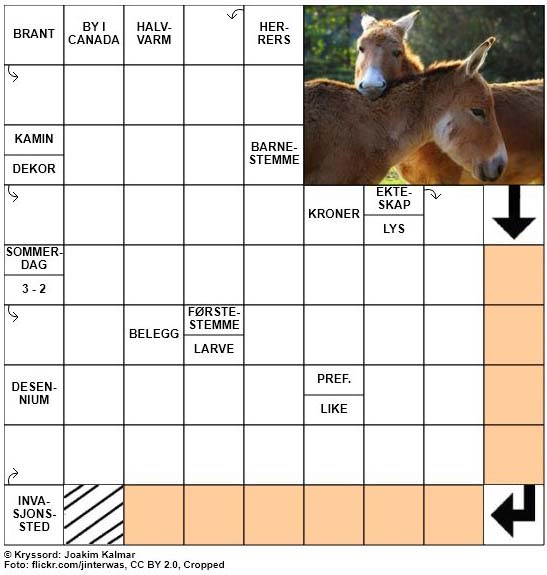 Dagens kryssord - 19. Mars - 2018