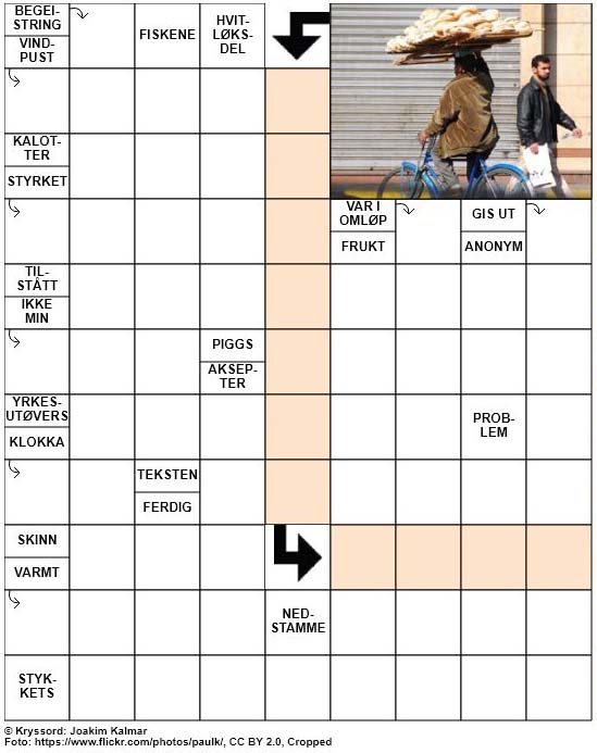 Dagens kryssord – 19. Mars – 2019