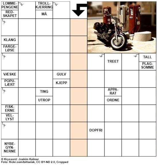 Dagens kryssord – 19. Oktober – 2018