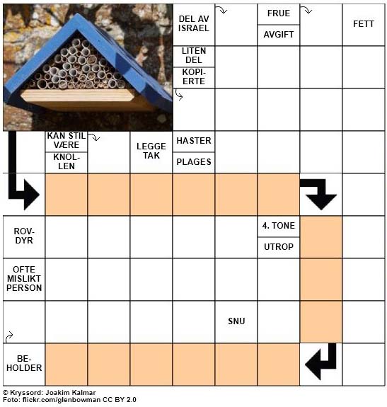 Dagens kryssord - 19. September - 2017
