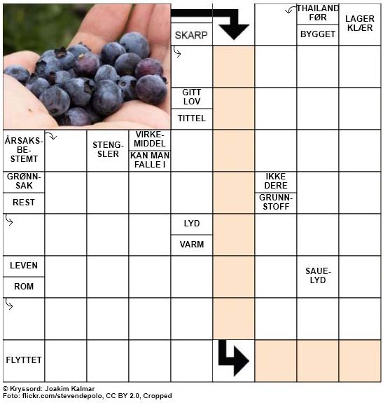 Dagens kryssord - 2. August - 2018