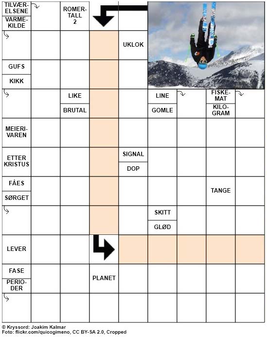 Dagens kryssord – 2. Januar – 2019