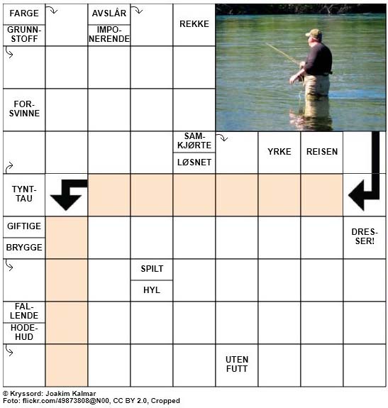 Dagens kryssord - 2. Juli - 2018