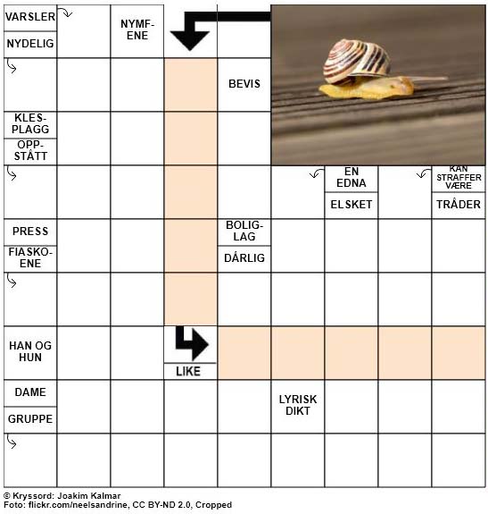 Dagens kryssord – 2. November – 2018