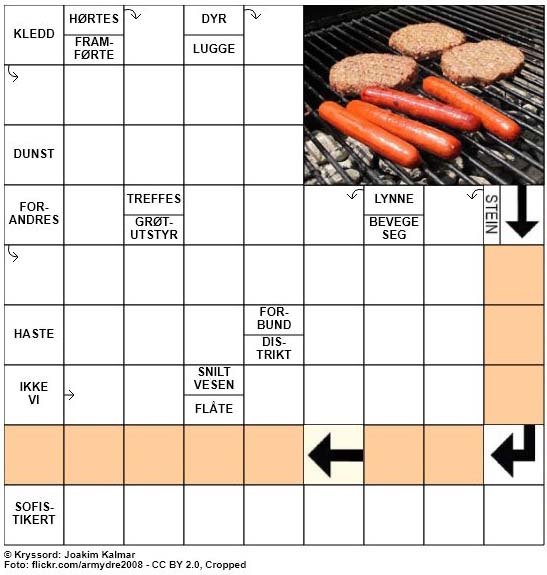 Dagens kryssord - 20. April - 2018