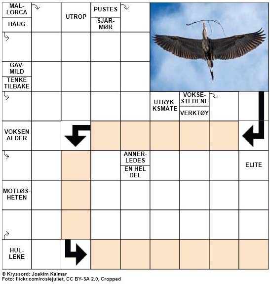 Dagens kryssord - 20. August - 2018