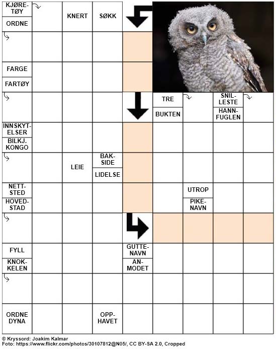 Dagens kryssord – 20. Februar – 2019