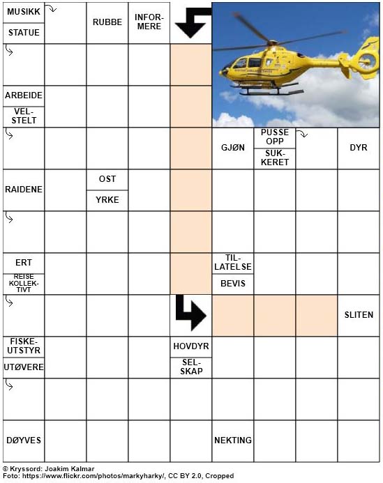 Dagens kryssord – 20. Januar – 2019