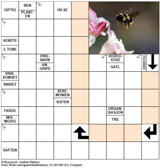 Dagens kryssord - 20. Juni - 2018