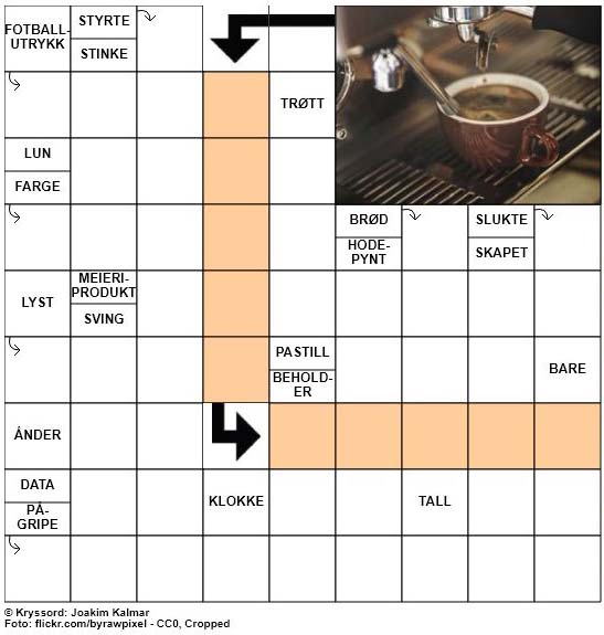 Dagens kryssord - 20. Mai - 2018