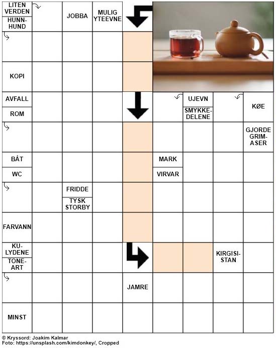 Dagens kryssord – 20. Mai – 2019