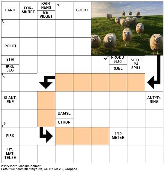 Dagens kryssord - 20. Mars - 2018