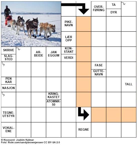 Dagens kryssord - 20. November - 2017