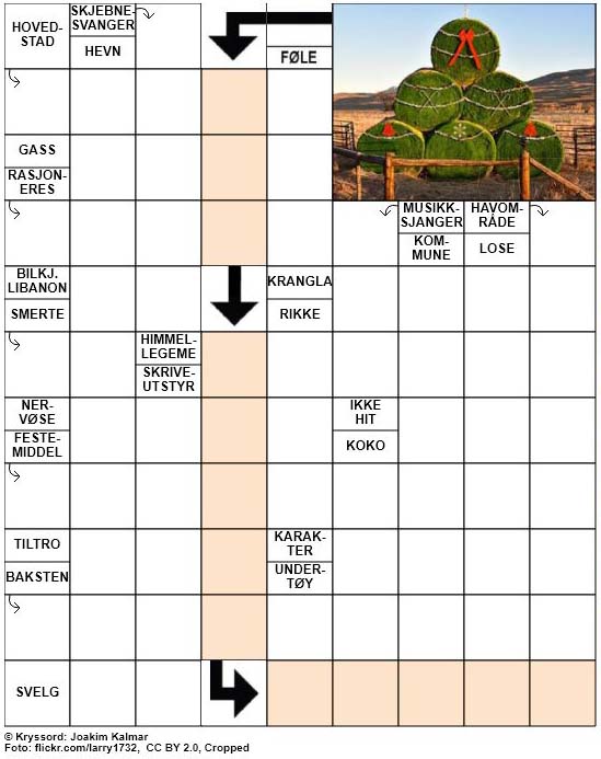 Dagens kryssord – 20. November – 2018
