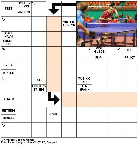 Dagens kryssord – 20. Oktober – 2018