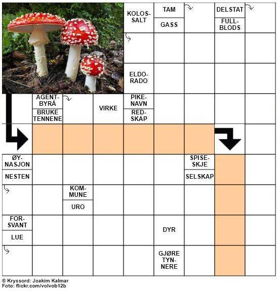 Dagens kryssord - 20. September - 2017