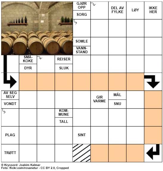 Dagens kryssord - 21. April - 2018