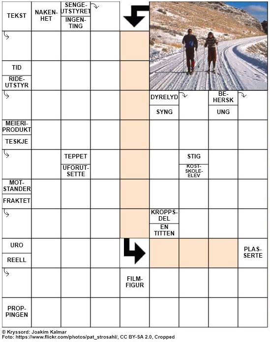 Dagens kryssord – 21. April – 2019