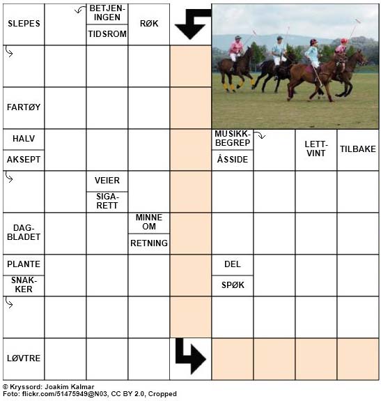 Dagens kryssord - 21. August - 2018