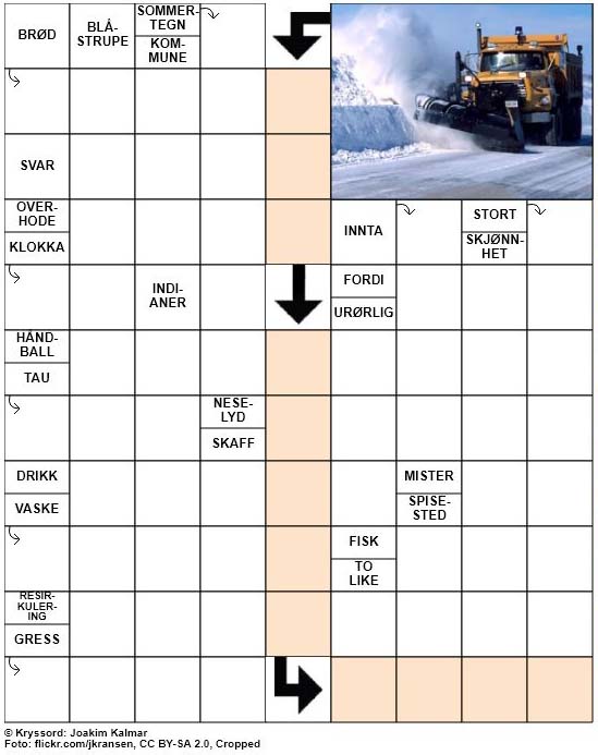 Dagens kryssord – 21. Desember – 2018
