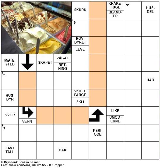 Dagens kryssord - 21. Februar - 2018