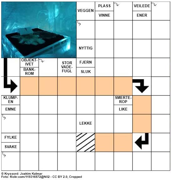Dagens kryssord - 21. Januar - 2018