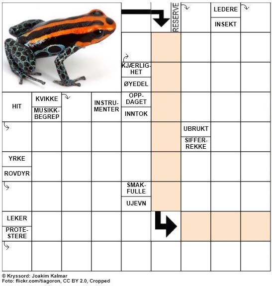 Dagens kryssord - 21. Juli - 2018