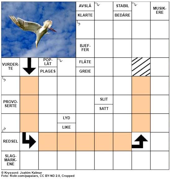 Dagens kryssord - 21. Juni - 2018