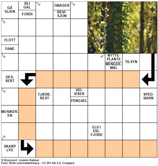 Dagens kryssord - 21. Mai - 2018