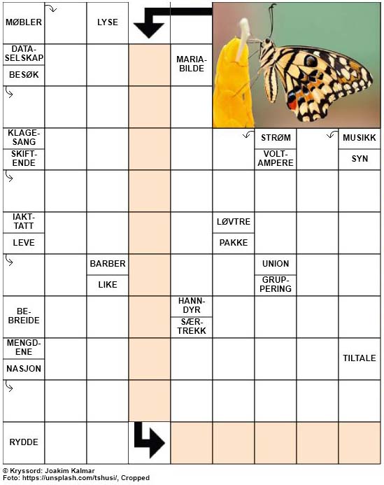 Dagens kryssord – 21. Mai – 2019