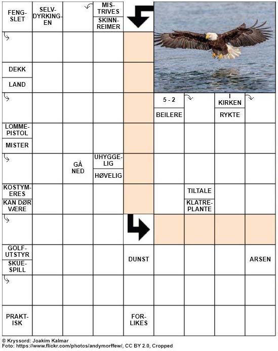 Dagens kryssord – 21. Mars – 2019