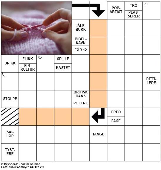Dagens kryssord - 21. November - 2017