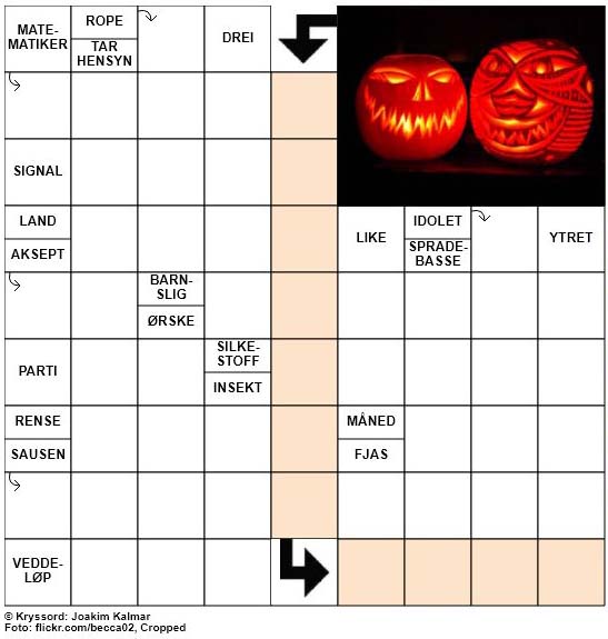 Dagens kryssord – 21. Oktober – 2018