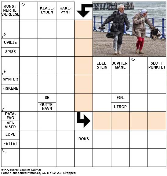 Dagens kryssord - 21. September - 2018