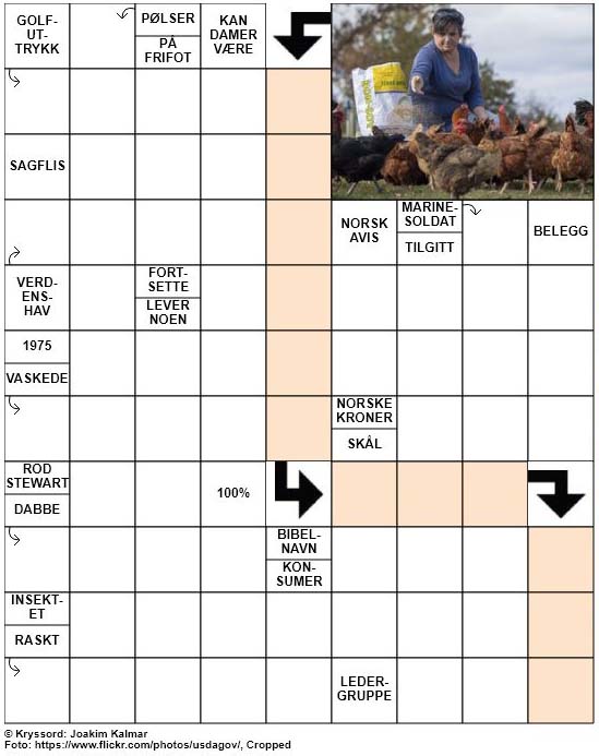 Dagens kryssord – 22. Februar – 2019