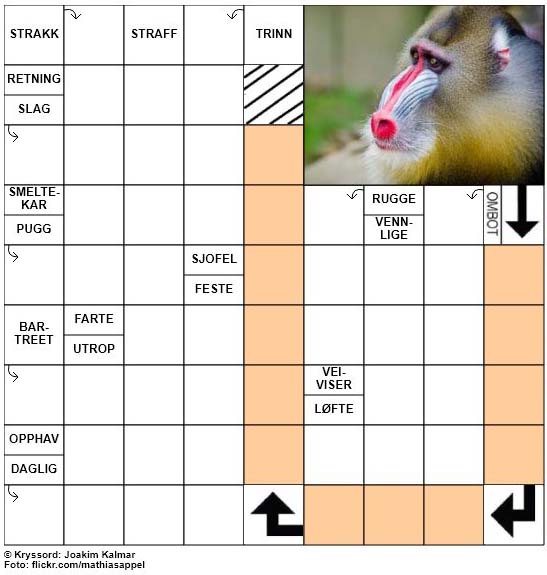 Dagens kryssord - 22. Januar - 2018