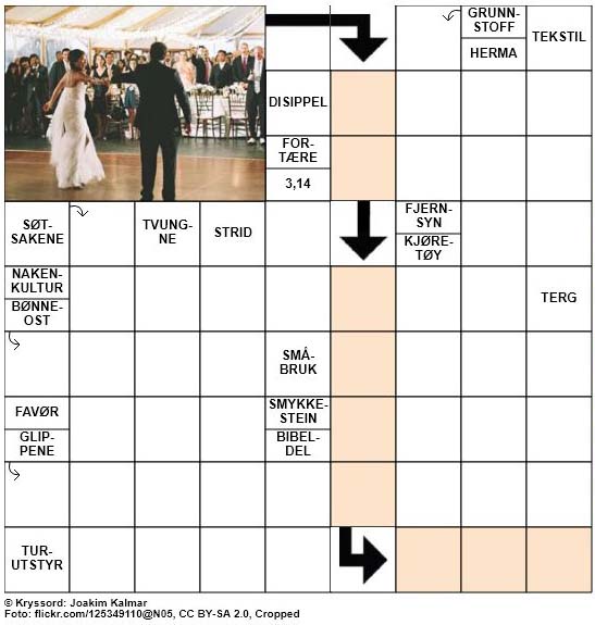Dagens kryssord - 22. Juli - 2018