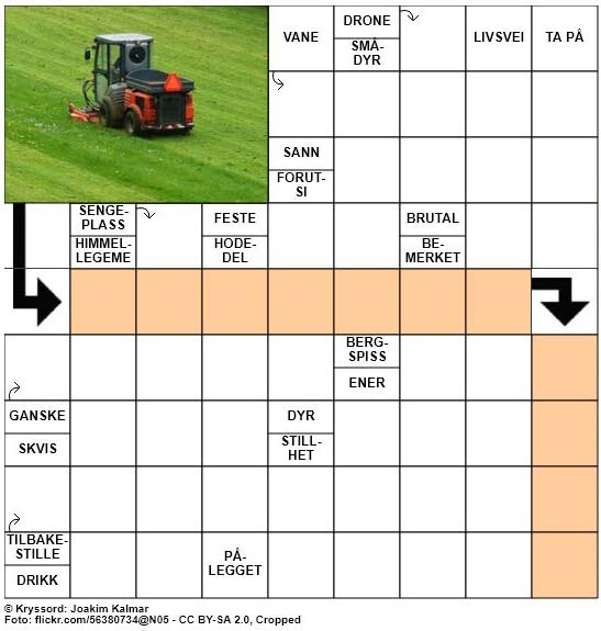 Dagens kryssord - 22. Mai - 2018