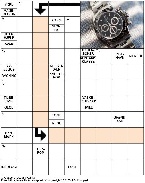 Dagens kryssord – 22. Mars – 2019