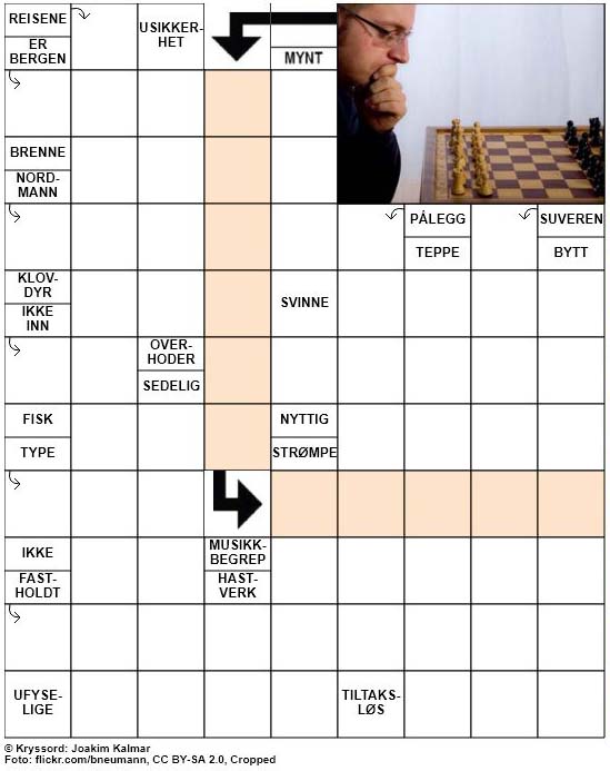 Dagens kryssord – 22. November – 2018