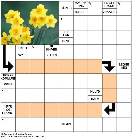 Dagens kryssord - 22. Oktober - 2017