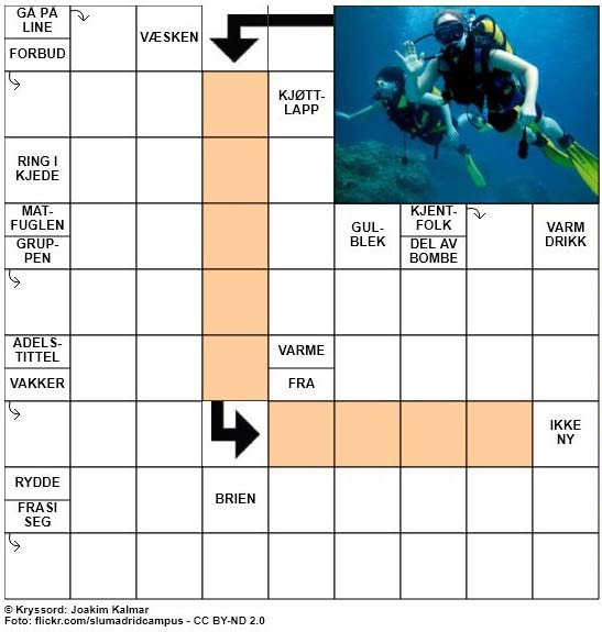 Dagens kryssord - 23. April - 2018