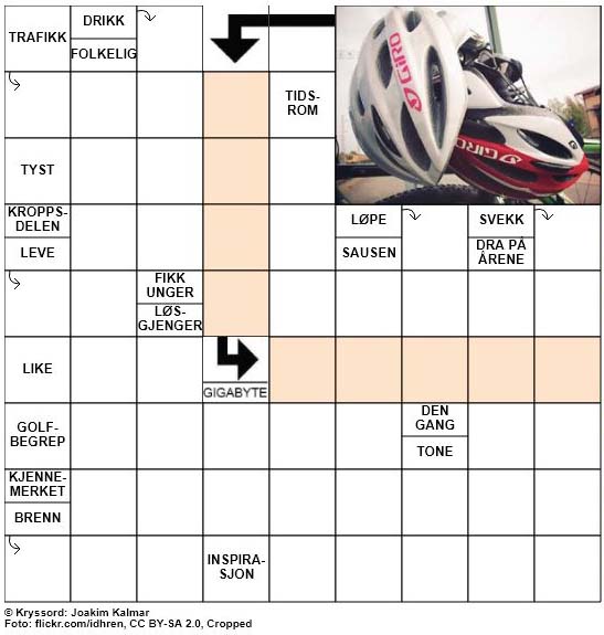 Dagens kryssord - 23. August - 2018