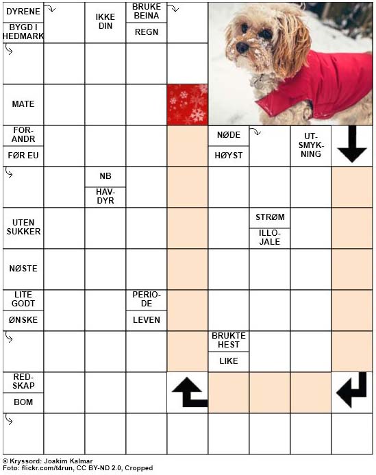 Dagens kryssord – 23. Desember – 2018
