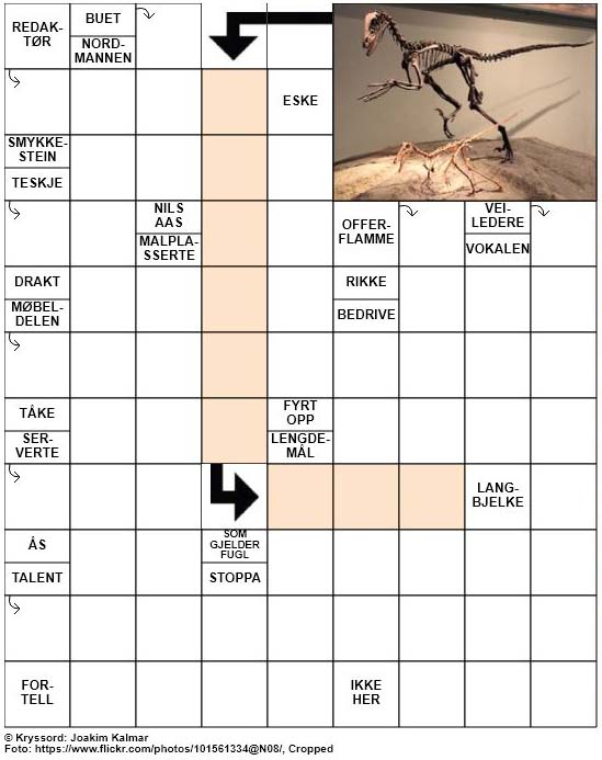 Dagens kryssord – 23. Februar – 2019