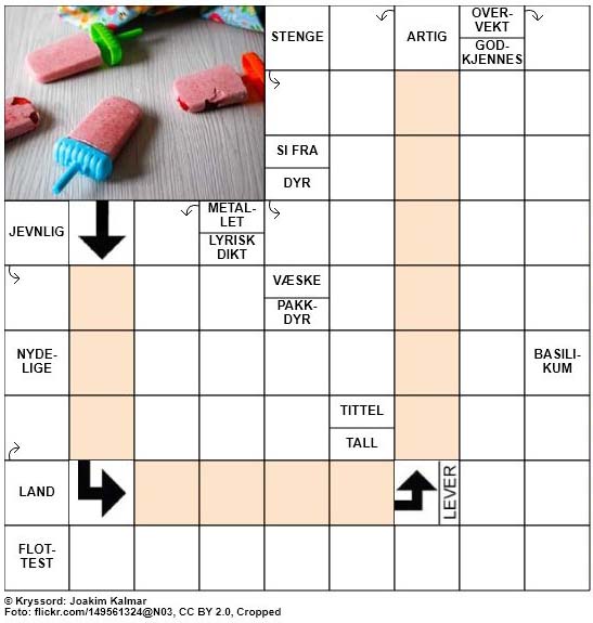 Dagens kryssord - 23. Juli - 2018