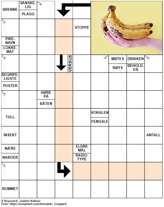 Dagens kryssord – 23. Mai – 2019