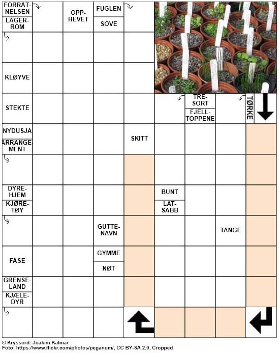 Dagens kryssord – 23. Mars – 2019