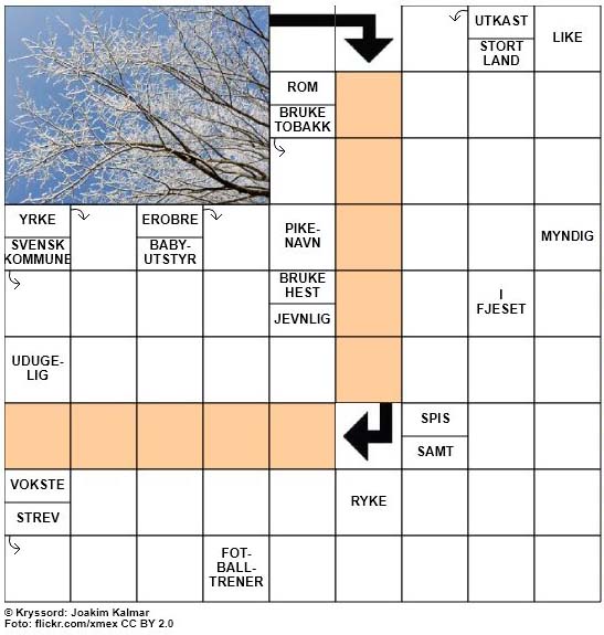 Dagens kryssord - 23. September - 2017