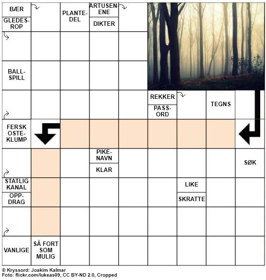 Dagens kryssord - 23. September - 2018